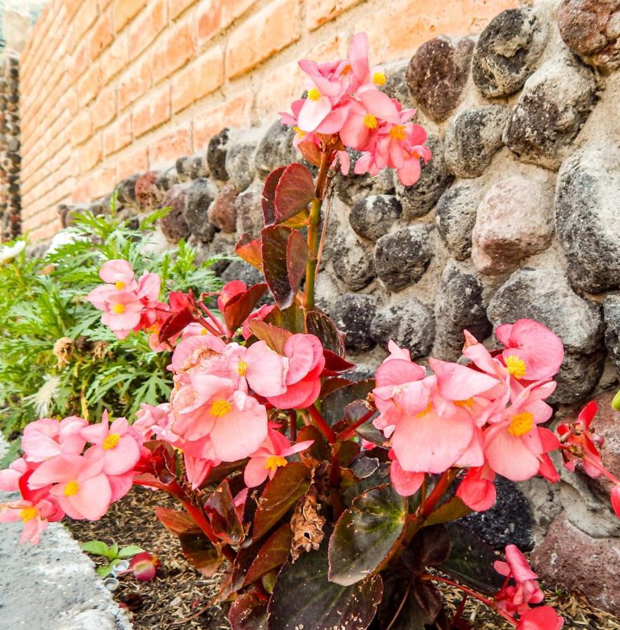 Отель Pampa Garden Quillullaco Экстерьер фото