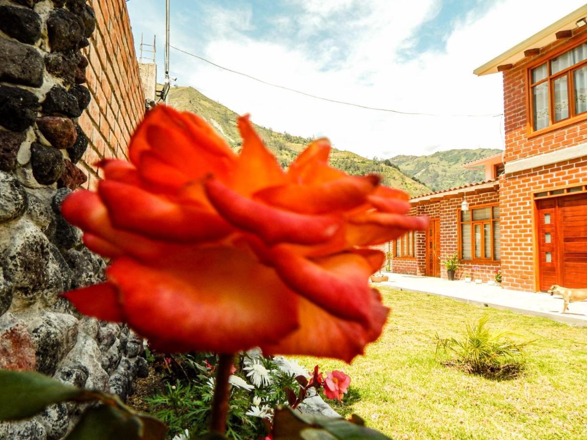 Отель Pampa Garden Quillullaco Экстерьер фото